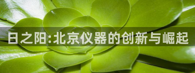 娱乐门徒电影解说：日之阳:北京仪器的创新与崛起
