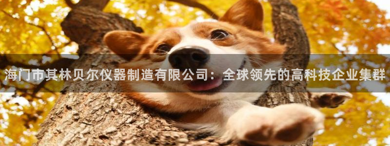门徒娱乐多长时间了：海门市其林贝尔仪器制造有限公司：全球领先
