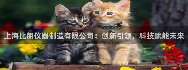 小刀娱乐门徒：上海比朗仪器制造有限公司：创新引领，科技赋能未