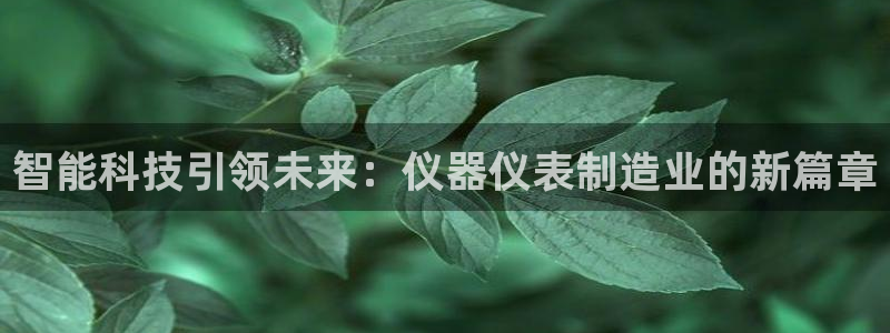 门徒娱乐注册团唐老鸭779O3：智能科技引领未来：仪器仪表制