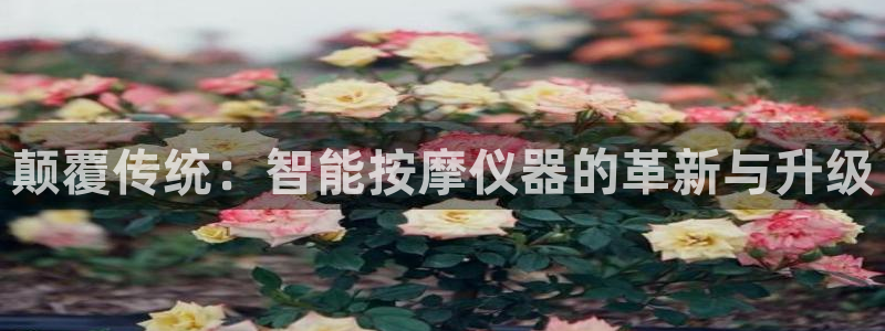 门徒娱乐是哪里的公司：颠覆传统：智能按摩仪器的革新与升级