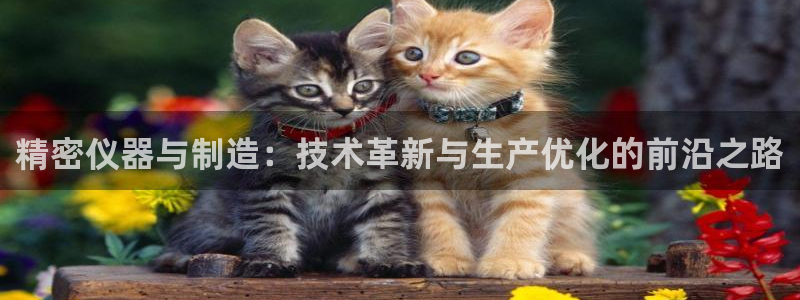 娱乐门徒免费下载手机版：精密仪器与制造：技术革新与生产优化的