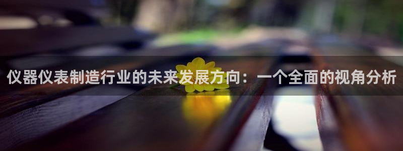 门徒娱乐联盟：仪器仪表制造行业的未来发展方向：一个全面的视角