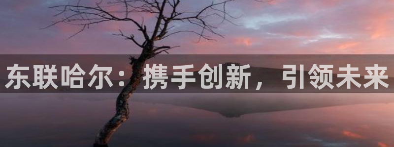 娱乐门徒完结了吗小说：东联哈尔：携手创新，引领未来