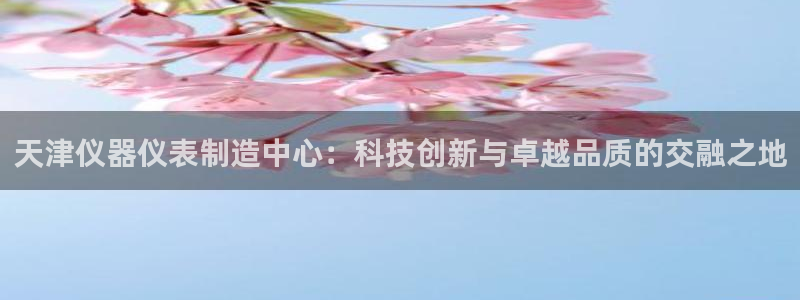 门徒娱乐项目是什么：天津仪器仪表制造中心：科技创新与卓越品质