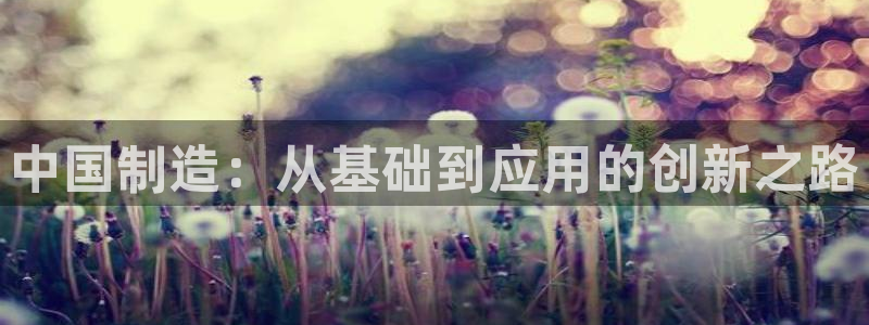 门徒娱乐手机登录不了：中国制造：从基础到应用的创新之路