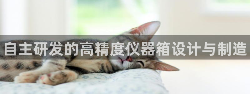 门徒娱乐怎么挂机的：自主研发的高精度仪器箱设计与制造
