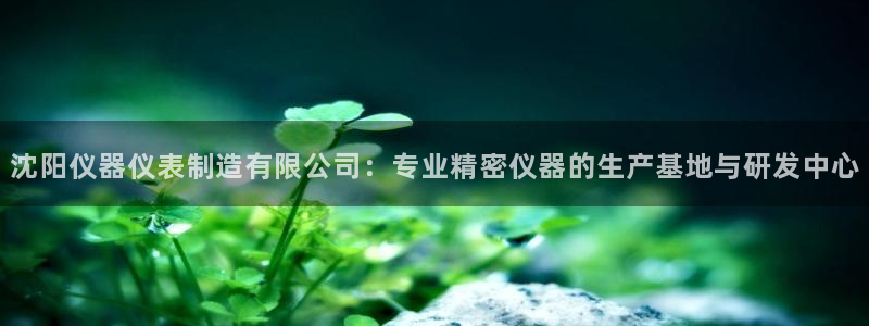门徒娱乐在线登录官网：沈阳仪器仪表制造有限公司：专业精密仪器