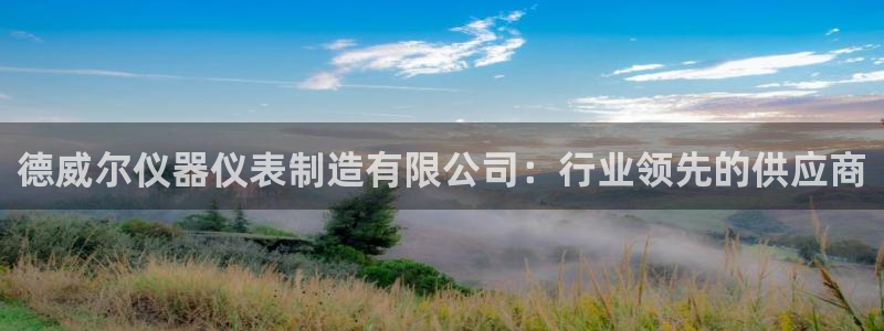 万国觉醒娱乐门徒攻略：德威尔仪器仪表制造有限公司：行业领先的