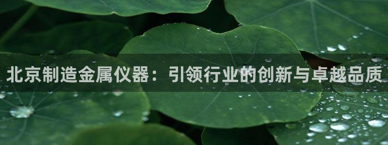 门徒娱乐招商会判官333OO：北京制造金属仪器：引领行业的创