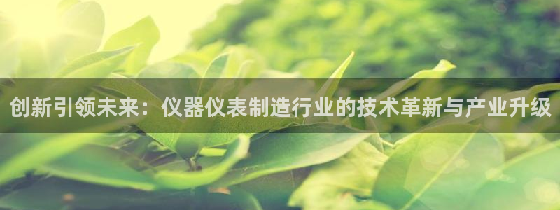 门徒娱乐注册官方下载：创新引领未来：仪器仪表制造行业的技术革