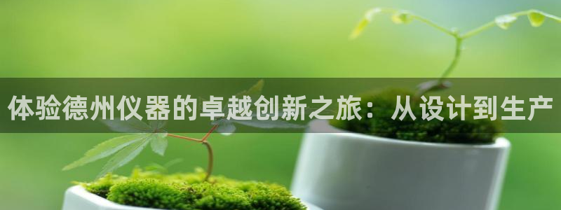 门徒娱乐丈六七五一38：体验德州仪器的卓越创新之旅：从设计到
