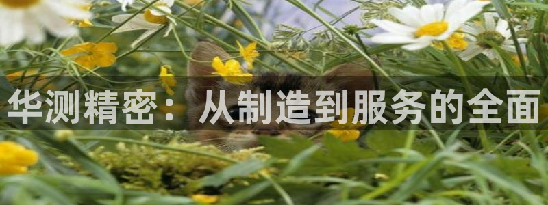 门徒娱乐官方下载：华测精密：从制造到服务的全面