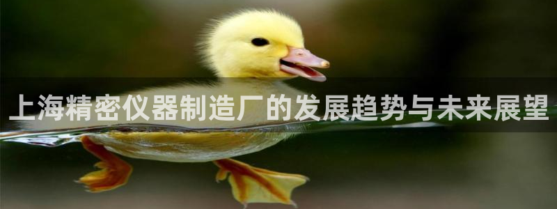 门徒娱乐平台注册：上海精密仪器制造厂的发展趋势与未来展望