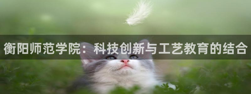 门徒娱乐彩票官网首页：衡阳师范学院：科技创新与工艺教育的结合