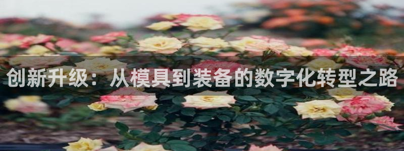 门徒娱乐网站：创新升级：从模具到装备的数字化转型之路