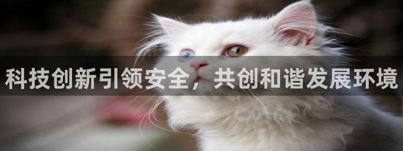 娱乐门徒完结了没有：科技创新引领安全，共创和谐发展环境