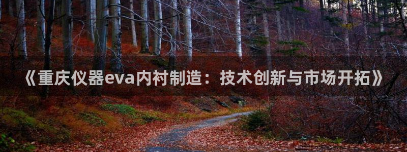 门徒娱乐线路图片大全：《重庆仪器eva内衬制造：技术创新与市