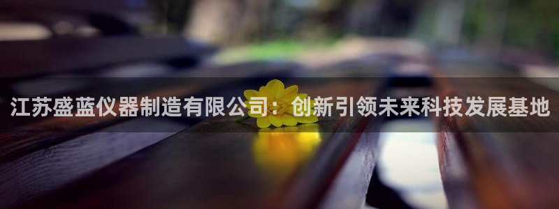 娱乐门徒完结了没有：江苏盛蓝仪器制造有限公司：创新引领未来科