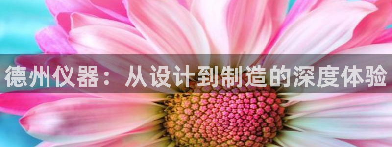 门徒娱乐其看判官333OO：德州仪器：从设计到制造的深度体验