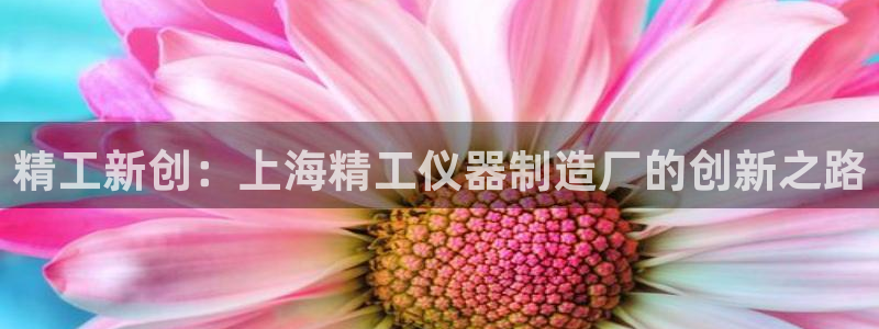 门徒娱乐怎么挂机赚钱的：精工新创：上海精工仪器制造厂的创新之