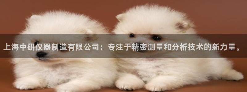 门徒娱乐登陆网站下载：上海中研仪器制造有限公司：专注于精密测