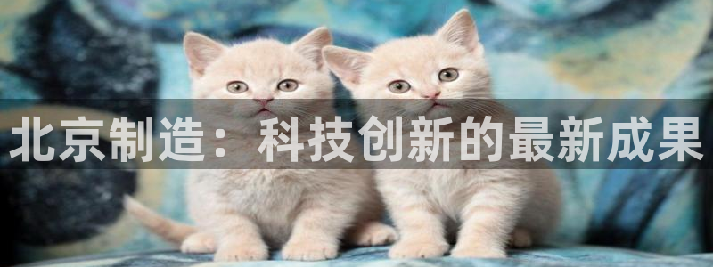 门徒娱乐属于哪个系列的：北京制造：科技创新的最新成果