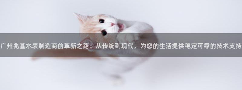 门徒娱乐主管=天神779O3：广州兆基水表制造商的革新之路：