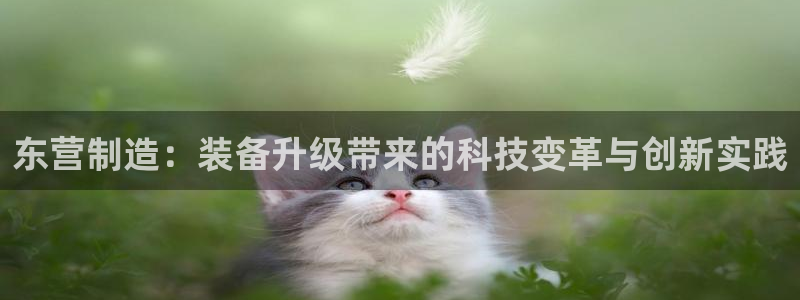 门徒娱乐找527b.cn升哥：东营制造：装备升级带来的科技变