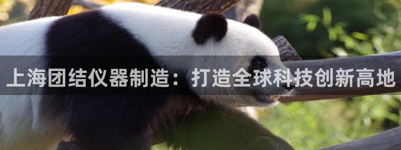 门徒娱乐期看判官333OO：上海团结仪器制造：打造全球科技创