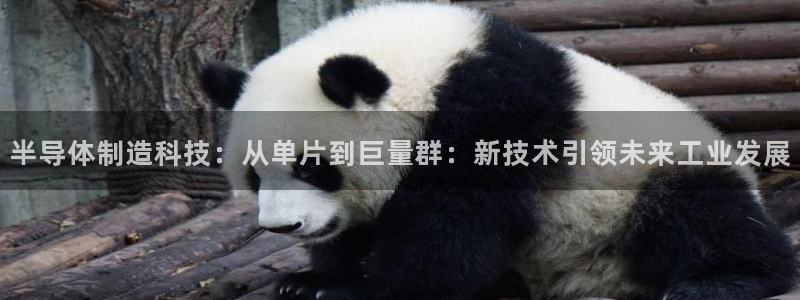 门徒南瓜show娱乐：半导体制造科技：从单片到巨量群：新技术