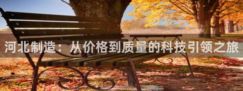 门徒娱乐老板怎么称呼的：河北制造：从价格到质量的科技引领之旅