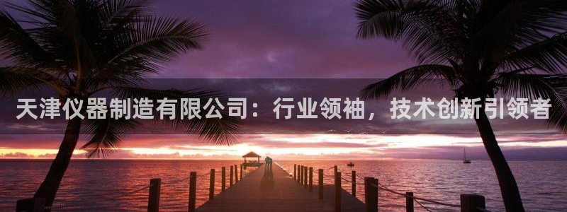 门徒娱乐线路图高清图片：天津仪器制造有限公司：行业领袖，技术