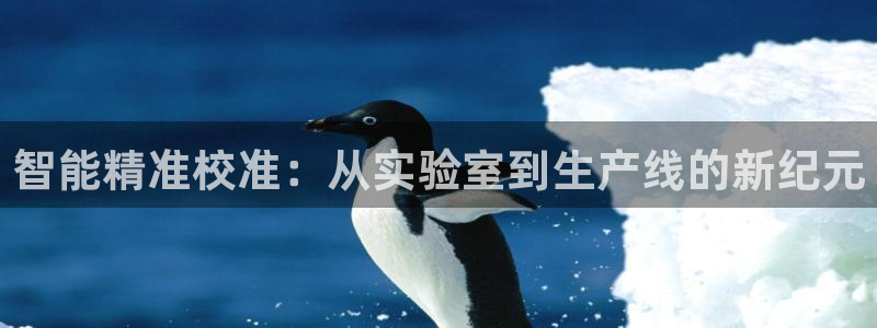 门徒娱乐团队介绍语：智能精准校准：从实验室到生产线的新纪元