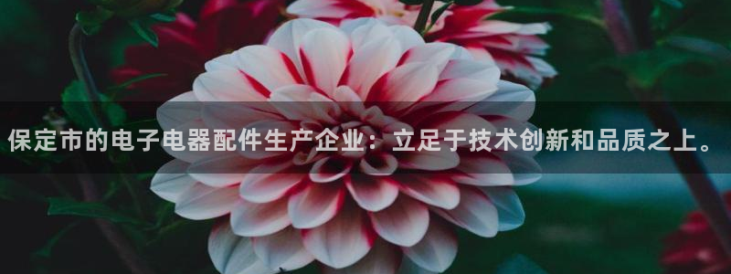 门徒娱乐登录网站下载：保定市的电子电器配件生产企业：立足于技