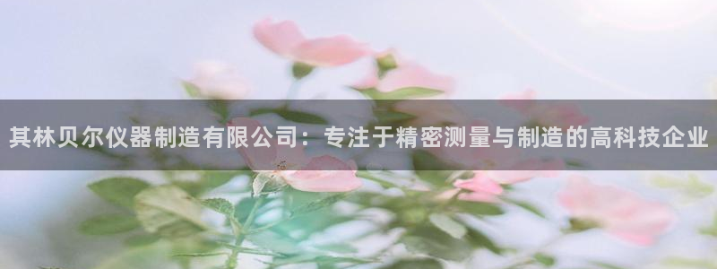 门徒娱乐联37997：其林贝尔仪器制造有限公司：专注于精密测