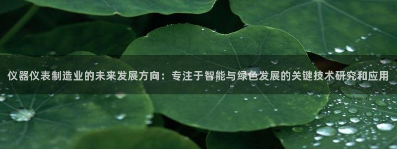 娱乐门徒奇书txt：仪器仪表制造业的未来发展方向：专注于智能