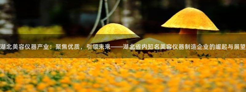 门徒娱乐是做什么的啊：湖北美容仪器产业：聚焦优质，引领未来—