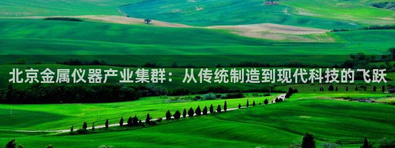 门徒娱乐的客服服务：北京金属仪器产业集群：从传统制造到现代科