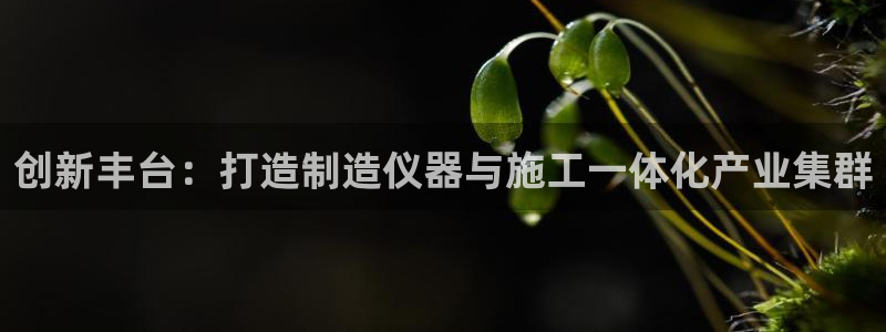 门徒娱乐注册登入：创新丰台：打造制造仪器与施工一体化产业集群