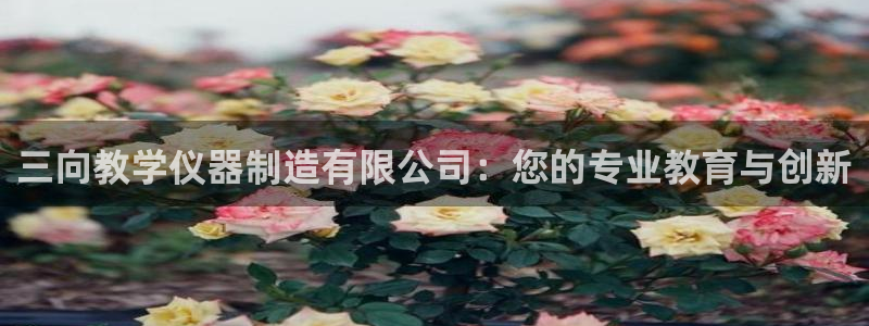 门徒娱乐链接：三向教学仪器制造有限公司：您的专业教育与创新