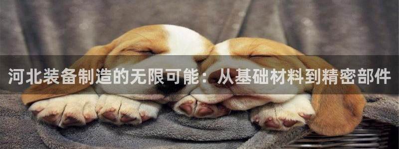 娱乐门徒biquke：河北装备制造的无限可能：从基础材料到精