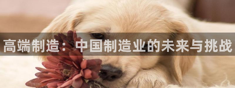 门徒娱乐千67五壹叁八：高端制造：中国制造业的未来与挑战