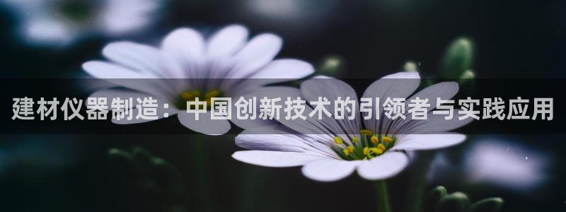 娱乐门徒完结了没有：建材仪器制造：中国创新技术的引领者与实践