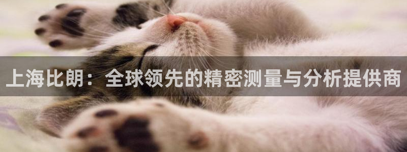 门徒娱乐成功案例分享：上海比朗：全球领先的精密测量与分析提供