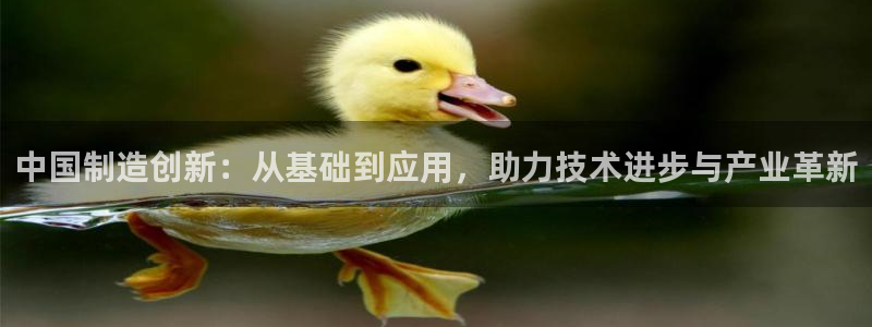 门徒娱乐登录：中国制造创新：从基础到应用，助力技术进步与产业