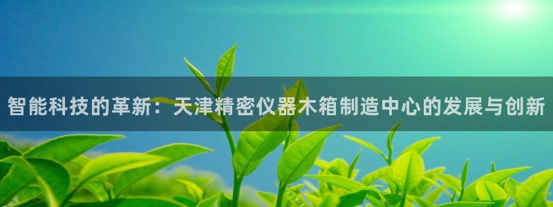 门徒娱乐场所开放了吗：智能科技的革新：天津精密仪器木箱制造中