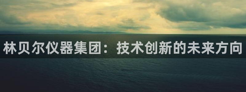 门徒娱乐登录网址是什么：林贝尔仪器集团：技术创新的未来方向