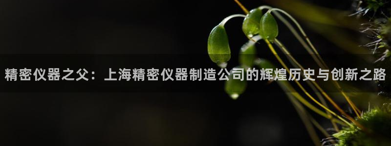 门徒娱乐主管那去判官333OO：精密仪器之父：上海精密仪器制