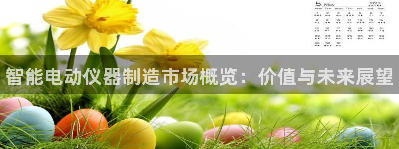 门徒娱乐前7O667：智能电动仪器制造市场概览：价值与未来展